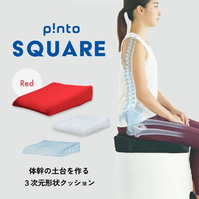 p!ntoSQUARE[red]