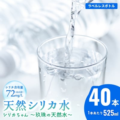 シリカ天然水 525ml×40本 (シリカちゃん)ラベルレス 水