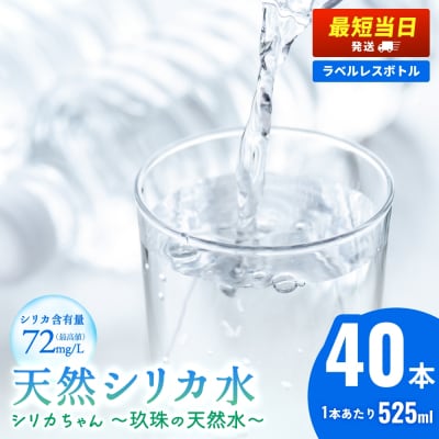 【最短当日発送】シリカ天然水 525ml×40本 (シリカちゃん)ラベルレス 水