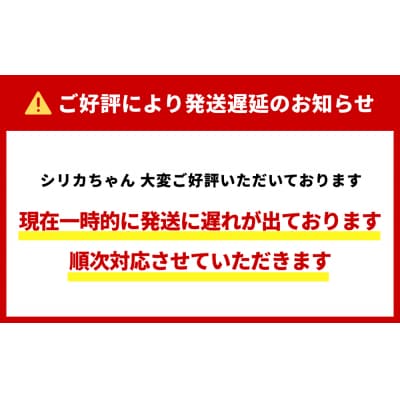 シリカ天然水 525ml ×80本(40本 ×2箱)シリカちゃん 500 +25ml