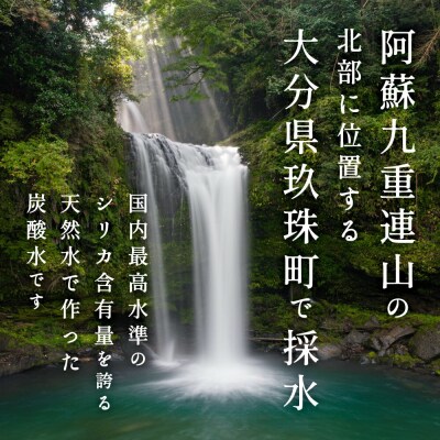 【3ヶ月定期便】シリカさん(天然シリカ炭酸水)40本