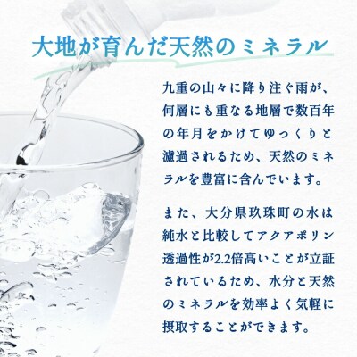 【3ヶ月定期便】シリカさん(天然シリカ炭酸水)40本