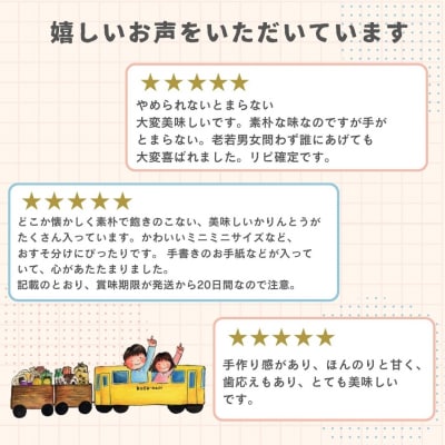 かいぞくかりんとうの詰め合わせ