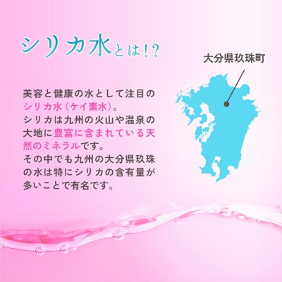 regina24本1ケース