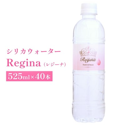 regina40本1ケース