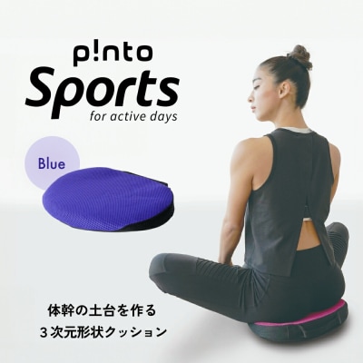 p!ntoSports[Blue]