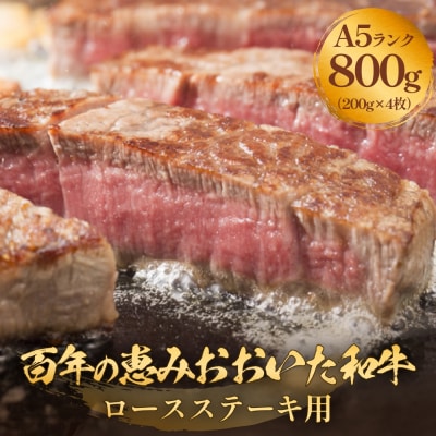 「百年の恵み おおいた和牛 」A5 ロースステーキ用 200g×4枚