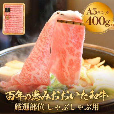 「百年の恵み おおいた和牛」A5しゃぶしゃぶ 400g