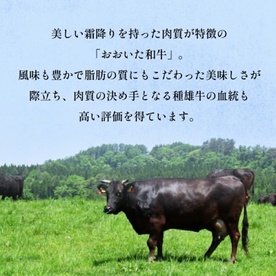 「百年の恵み おおいた和牛」A5しゃぶしゃぶ 400g