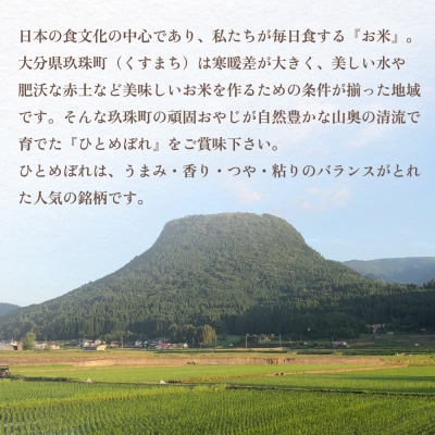 <先行受付>【令和7年 玖珠産・ひとめぼれ 10㎏】頑固おやじのこだわり米(精米済み・減農薬)