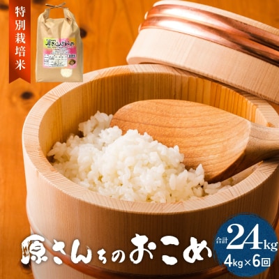《先行受付》令和7年産 原さんちのお米 4kg 6回定期便 品種おまかせ
