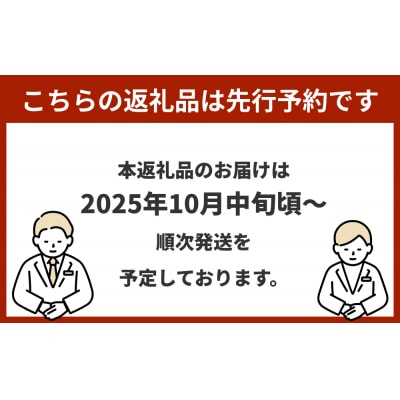 《先行受付》令和7年産 原さんちのお米 4kg 6回定期便 品種おまかせ