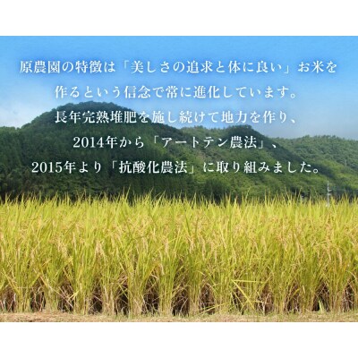 《先行受付》令和7年産 原さんちの玄米 4kg 3回定期便 品種おまかせ