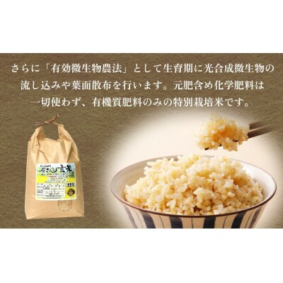《先行受付》令和7年産 原さんちの玄米 4kg 3回定期便 品種おまかせ