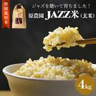 《先行受付》令和7年産 原農園 JAZZ米 (玄米) 4kg
