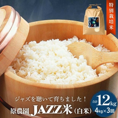 《先行受付》令和7年産 原農園 JAZZ米 白米 4kg 3回定期便 品種おまかせ