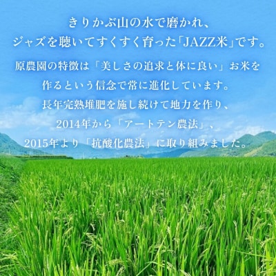 《先行受付》令和7年産 原農園 JAZZ米 白米 4kg 3回定期便 品種おまかせ