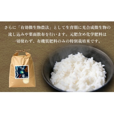 《先行受付》令和7年産 原農園 JAZZ米 白米 4kg 3回定期便 品種おまかせ