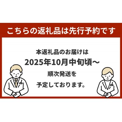《先行受付》令和7年産 原農園 JAZZ米 白米 4kg 3回定期便 品種おまかせ