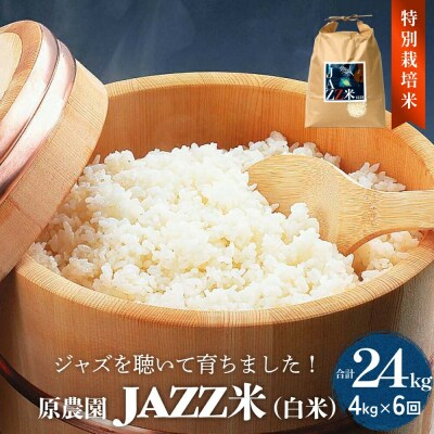 《先行受付》令和7年産 原農園 JAZZ米 白米 4kg 6回定期便 品種おまかせ