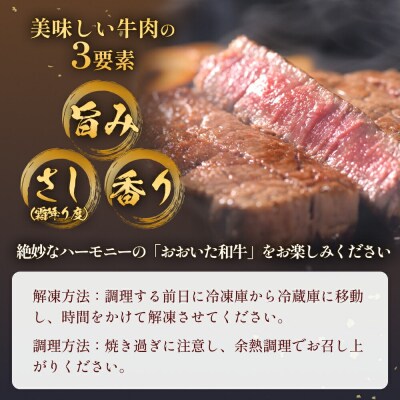 おおいた和牛3ヶ月定期便