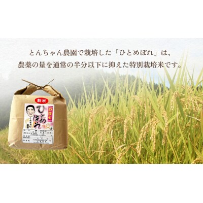 特別栽培米 玖珠米 ひとめぼれ 4kg(白米)