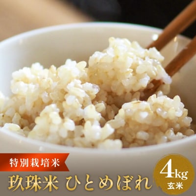特別栽培米 玖珠米 ひとめぼれ 4kg(玄米)