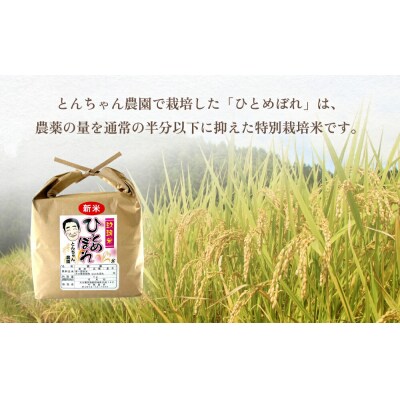 特別栽培米 玖珠米 ひとめぼれ 4kg(玄米)