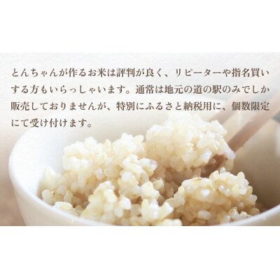 特別栽培米 玖珠米 ひとめぼれ 4kg(玄米)