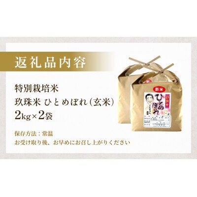 特別栽培米 玖珠米 ひとめぼれ 4kg(玄米)