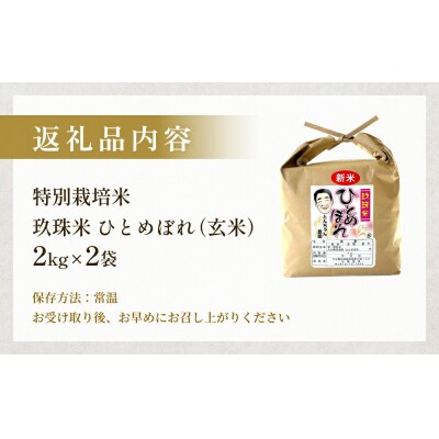 特別栽培米 玖珠米 ひとめぼれ 4kg(玄米)