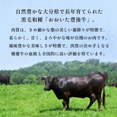 おおいた豊後牛 黒毛和種 サーロインステーキ 220g×4枚