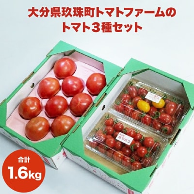 大分県玖珠町トマトファームのトマト3種セット