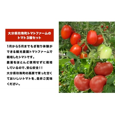 大分県玖珠町トマトファームのトマト3種セット