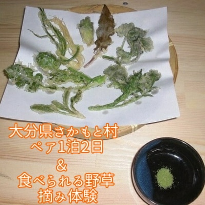 大分県さかもと村ペア1泊2日&食べられる野草摘み体験