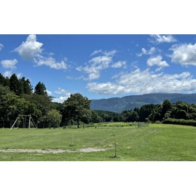 キャンプ&農園玖珠の杜で使える3,000円チケット