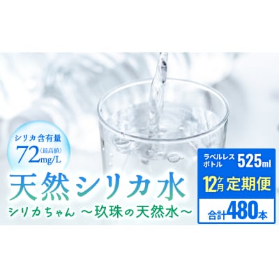 【12ヶ月定期便】シリカちゃん(天然シリカ水)40本
