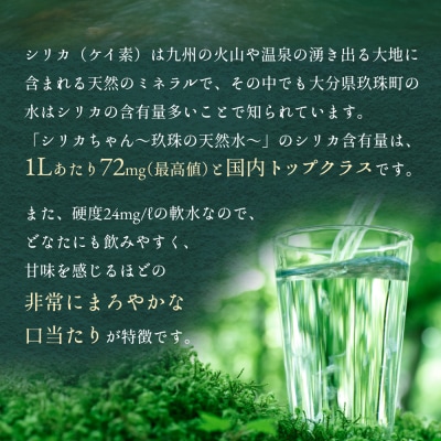 【12ヶ月定期便】シリカちゃん(天然シリカ水)40本