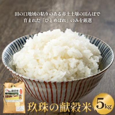 令和7年度 新米先行受付 玖珠の献穀米 5kg 米 ひとめぼれ 大分県 玖珠町 こめ お米 白米