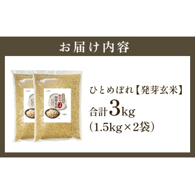 【先行受付】特Aひとめぼれ米 残留農薬ゼロ 発芽玄米 1.5kg×2袋(3.0kg) 令和7年産