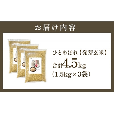 【先行受付】特Aひとめぼれ米 残留農薬ゼロ 発芽玄米 1.5kg×3袋(4.5kg) 令和7年産