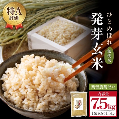 【先行受付】特Aひとめぼれ米 残留農薬ゼロ 発芽玄米 1.5kg×5袋(7.5kg) 令和7年産
