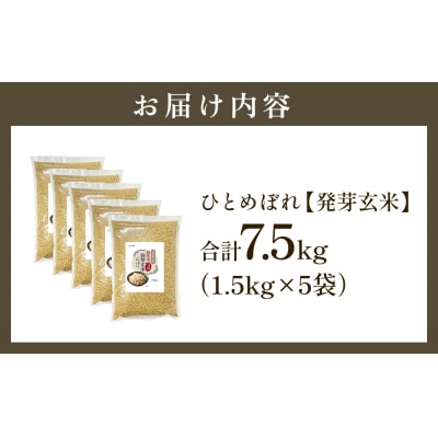 【先行受付】特Aひとめぼれ米 残留農薬ゼロ 発芽玄米 1.5kg×5袋(7.5kg) 令和7年産