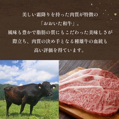 「百年の恵み おおいた和牛 」A5 ロースステーキ用 200g × 1枚 × 3ヶ月 定期便 牛肉 