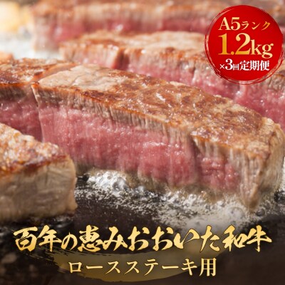 「百年の恵み おおいた和牛 」A5 ロースステーキ用300g × 4枚 × 3ヶ月 定期便 A5等級