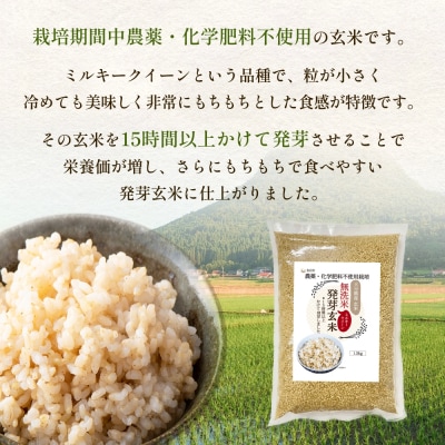 【先行受付】栽培期間中農薬・化学肥料不使用 発芽玄米 1.5kg×3袋(4.5kg) 大分県産