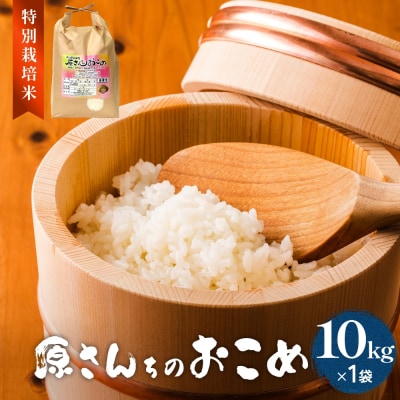 令和7年産 原さんちのお米 10kg ひとめぼれ 特別栽培米 原農園 有機栽培