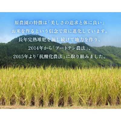 令和7年産 原さんちの玄米 10kg ひとめぼれ 有機質肥料 特別栽培米 原農園