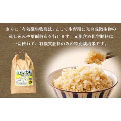 令和7年産 原さんちの玄米 10kg ひとめぼれ 有機質肥料 特別栽培米 原農園