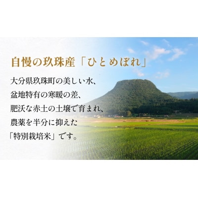 令和7年産 大分県産 玖珠米 4kg ひとめぼれ 白米 精米 令和7年産 大分県